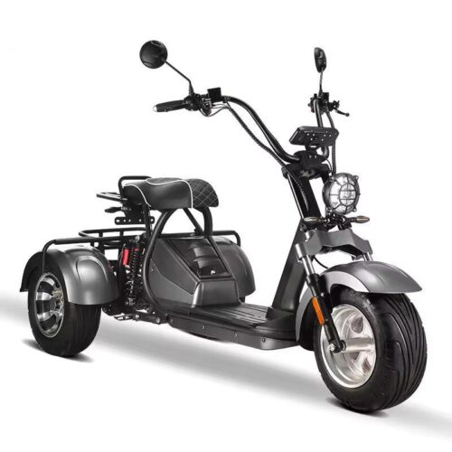 elektro-scooter-mit-Strassenzulassung-Trike-Hm-3-60v-silb-1[1].jpg