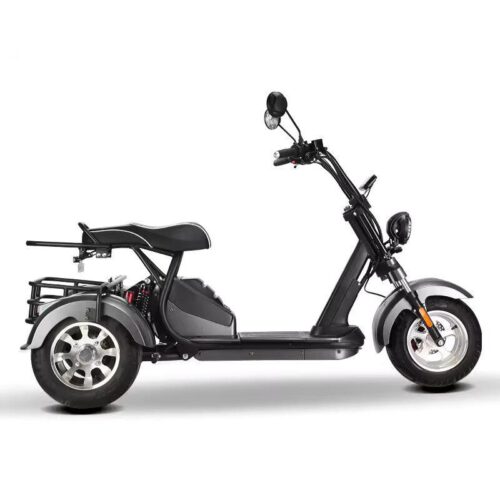 elektro-scooter-mit-Strassenzulassung-Trike-Hm-3-60v-silb-2[1].jpg