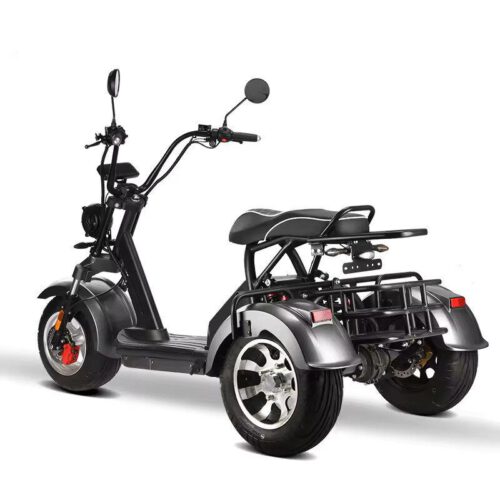 elektro-scooter-mit-Strassenzulassung-Trike-Hm-3-60v-silb-4[1].jpg