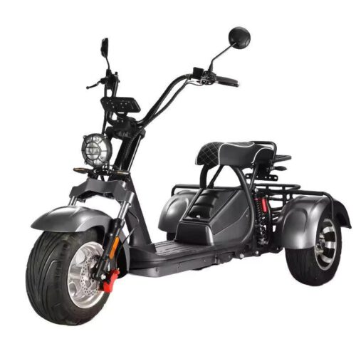 elektro-scooter-mit-Strassenzulassung-Trike-Hm-3-60v-silb-5[1].jpg