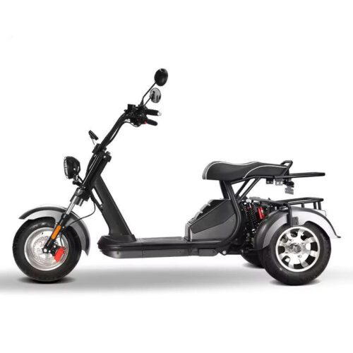 elektro-scooter-mit-Strassenzulassung-Trike-Hm-3-60v-silb-6[1].jpg