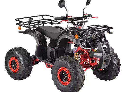 e-quad-atv-elektro-scooter-mit-strassenzulassung-60v-schwarz-1[1].jpg