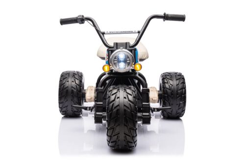 Elektro-Kindermotorrad–2x800W-Brushless-Motoren-24V7A-Akku-5[1].jpg