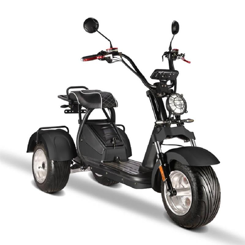 elektro_scooter_trike_mit_neigmechanismus_2x_2000w_60v_motoren_-_schwarz_-1_1.jpg