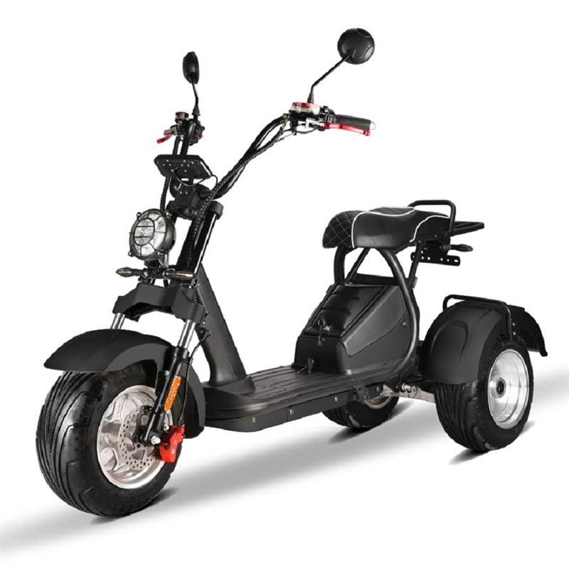 elektro_scooter_trike_mit_neigmechanismus_2x_2000w_60v_motoren_-_schwarz_-4.jpg