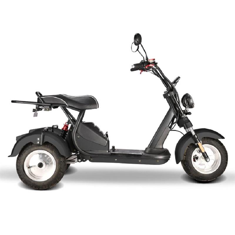 elektro_scooter_trike_mit_neigmechanismus_2x_2000w_60v_motoren_-_schwarz_-6.jpg