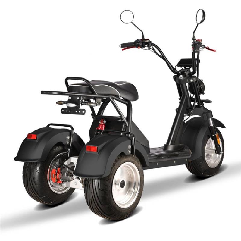 elektro_scooter_trike_mit_neigmechanismus_2x_2000w_60v_motoren_-_schwarz_-7.jpg