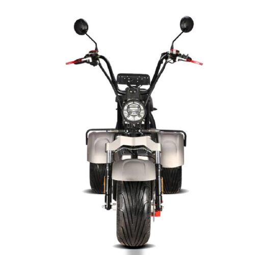 elektro_scooter_trike_mit_neigmechanismus_2x_2000w_60v_motoren_-_silber_-1_1.jpg