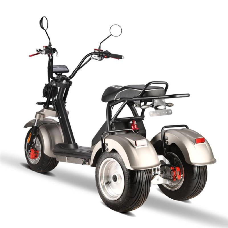 elektro_scooter_trike_mit_neigmechanismus_2x_2000w_60v_motoren_-_silber_-2.jpg