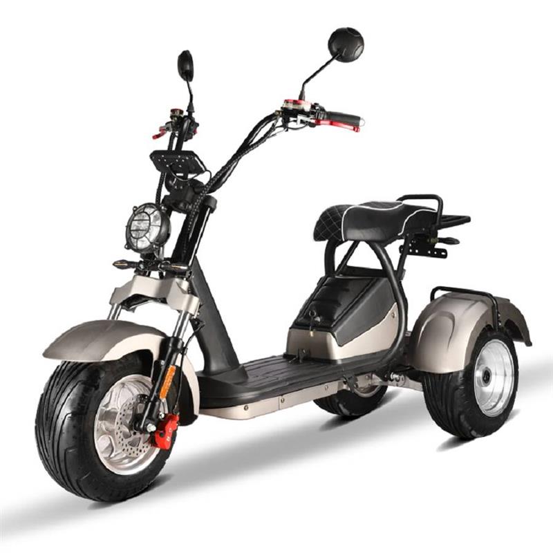 elektro_scooter_trike_mit_neigmechanismus_2x_2000w_60v_motoren_-_silber_-4.jpg