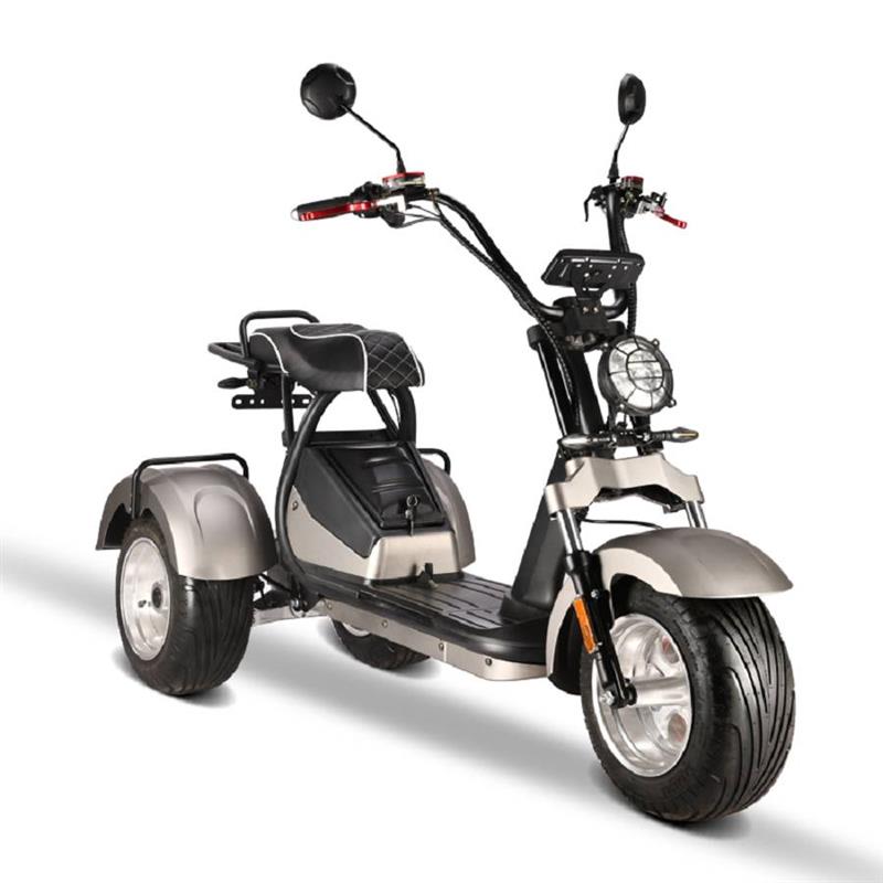 elektro_scooter_trike_mit_neigmechanismus_2x_2000w_60v_motoren_-_silber_-5_1.jpg