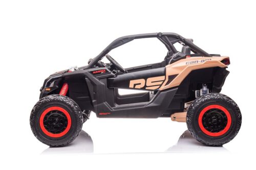 Elektro-Buggy-fuer-Kinder-Can-Am-RS-24V-Schwarz-4[1].jpg