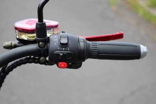 elektro-scooter-e-scooter-chopper-fat-bike.coco-bike-matt-schwarz-p01-20_1[1].jpg