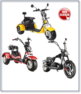 Elektro Coco Bike Scooter