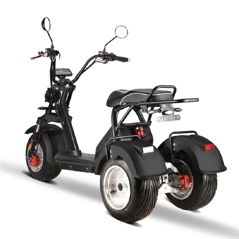 elektro_scooter_trike_mit_neigmechanismus_2x_2000w_60v_motoren_-_schwarz_-2_1.jpg