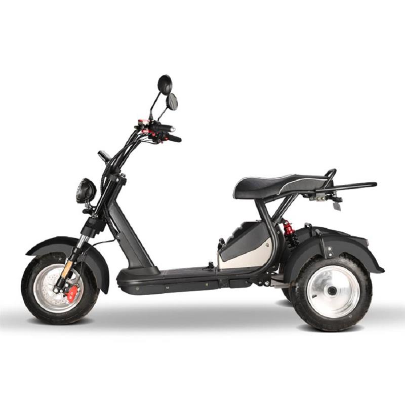 elektro_scooter_trike_mit_neigmechanismus_2x_2000w_60v_motoren_-_schwarz_-3_1.jpg
