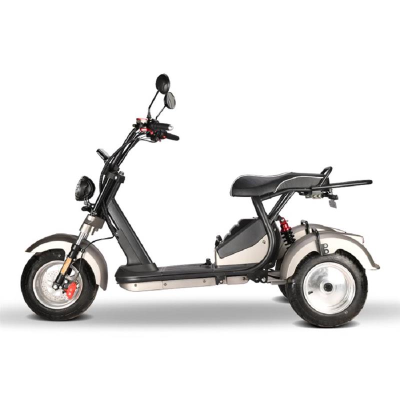 elektro_scooter_trike_mit_neigmechanismus_2x_2000w_60v_motoren_-_silber_-3_1.jpg