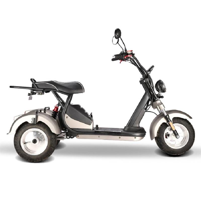elektro_scooter_trike_mit_neigmechanismus_2x_2000w_60v_motoren_-_silber_-6.jpg