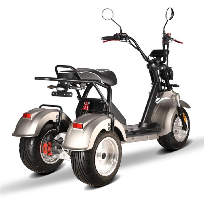 elektro_scooter_trike_mit_neigmechanismus_2x_2000w_60v_motoren_-_silber_-7_1.jpg