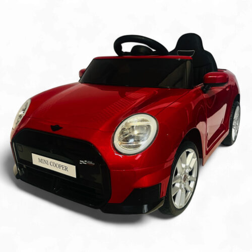 sx3518-mini-cooper-elektrische-kinderauto-accu-voe