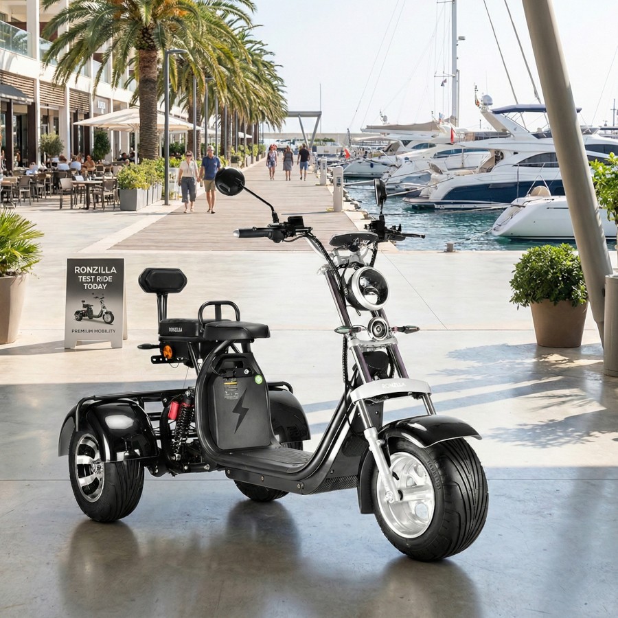 Coco Bike E-Scooter drei Räder Trike 80km Reichweite 2x 60V | 2000W | 20AH Akku – Bild 2