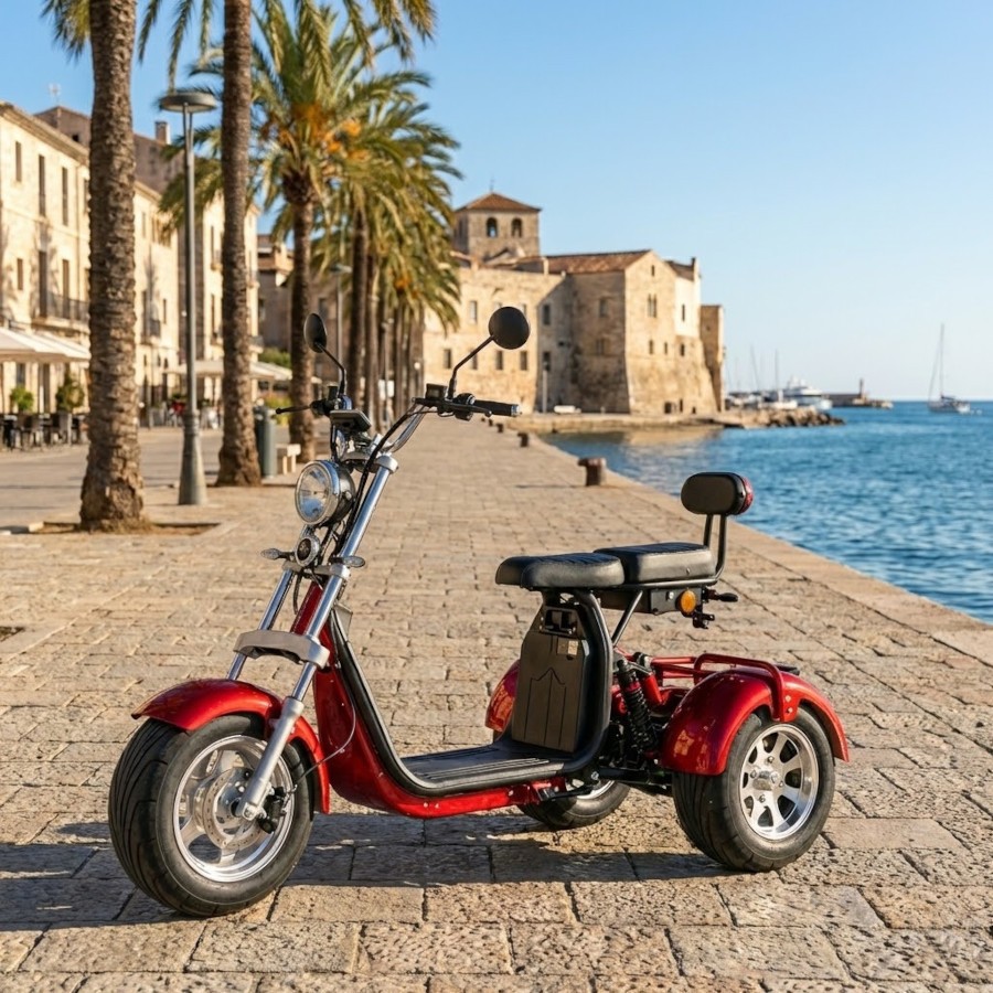 Coco Bike E-Scooter drei Räder Trike 80km Reichweite 2x 60V | 2000W | 20AH Akku – Bild 3