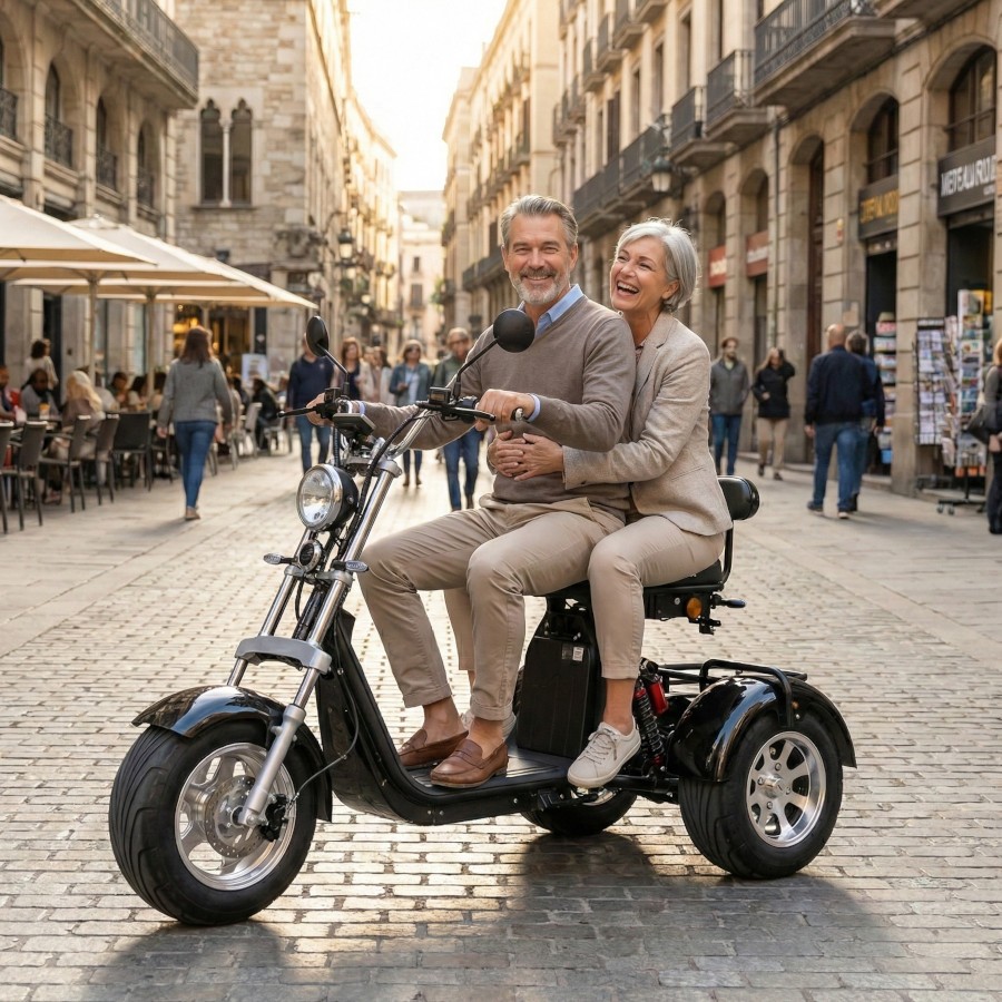 Coco Bike E-Scooter drei Räder Trike 80km Reichweite 2x 60V | 2000W | 20AH Akku – Bild 4