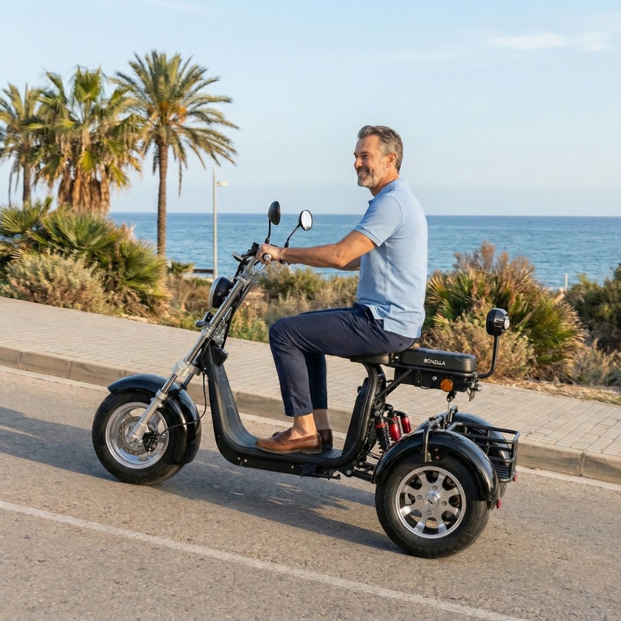 Coco Bike E-Scooter drei Räder Trike 80km Reichweite 2x 60V | 2000W | 20AH Akku – Bild 5